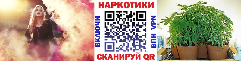 Что такое Всеволожск Псилоцибиновые грибы  APVP  Меф  COCAIN  Каннабис 