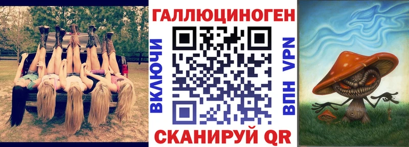 ссылка на мегу маркетплейс  Всеволожск  Псилоцибиновые грибы Magic Shrooms 